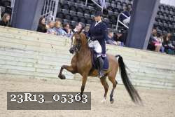 23R13_05363 thumbnail
