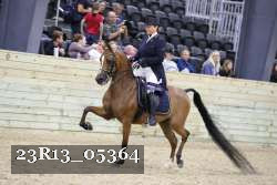 23R13_05364 thumbnail