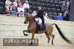 23R13_05365 thumbnail