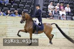 23R13_05366 thumbnail