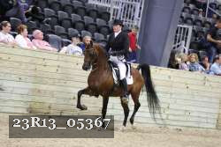 23R13_05367 thumbnail