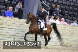 23R13_05368 thumbnail
