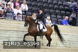 23R13_05369 thumbnail