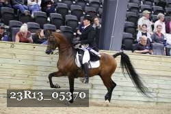 23R13_05370 thumbnail