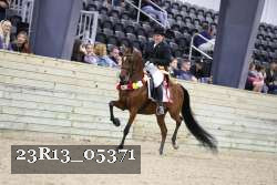 23R13_05371 thumbnail