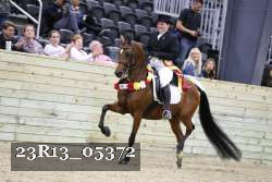 23R13_05372 thumbnail