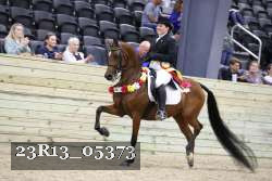 23R13_05373 thumbnail