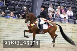 23R13_05374 thumbnail