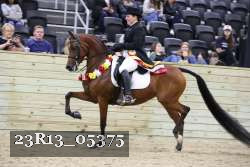23R13_05375 thumbnail