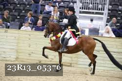 23R13_05376 thumbnail