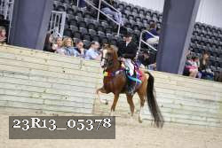 23R13_05378 thumbnail