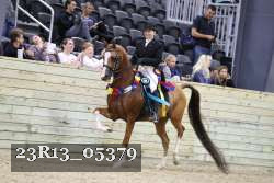 23R13_05379 thumbnail