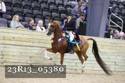 23R13_05380 thumbnail