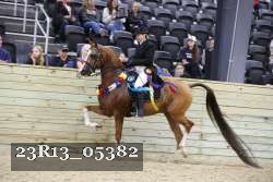 23R13_05382 thumbnail