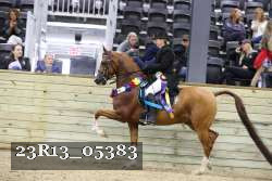 23R13_05383 thumbnail