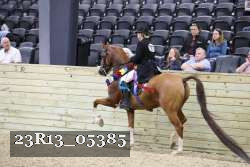 23R13_05385 thumbnail
