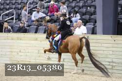 23R13_05386 thumbnail