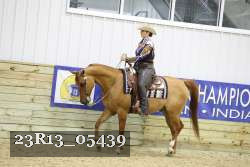 23R13_05439 thumbnail