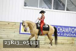 23R13_05443 thumbnail