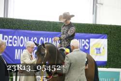 23R13_05452 thumbnail