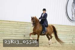 23R13_05526 thumbnail
