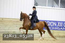 23R13_05528 thumbnail