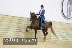 23R13_05529 thumbnail