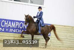 23R13_05530 thumbnail