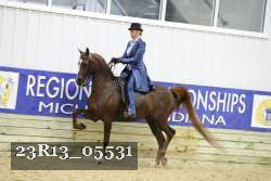 23R13_05531 thumbnail