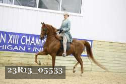 23R13_05533 thumbnail