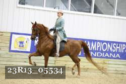 23R13_05534 thumbnail
