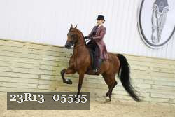 23R13_05535 thumbnail