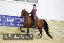 23R13_05536 thumbnail
