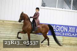 23R13_05537 thumbnail