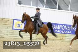 23R13_05538 thumbnail