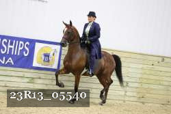 23R13_05540 thumbnail