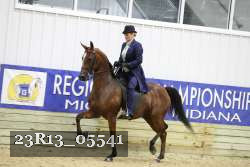 23R13_05541 thumbnail