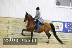 23R13_05544 thumbnail