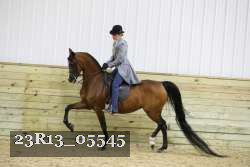 23R13_05545 thumbnail