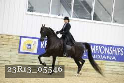 23R13_05546 thumbnail