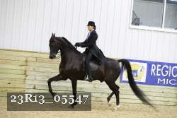 23R13_05547 thumbnail
