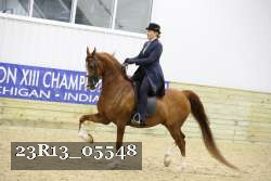 23R13_05548 thumbnail