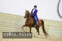 23R13_05549 thumbnail