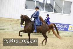 23R13_05550 thumbnail