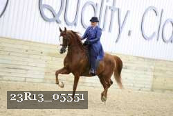 23R13_05551 thumbnail