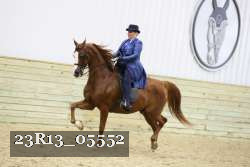 23R13_05552 thumbnail