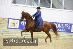 23R13_05553 thumbnail