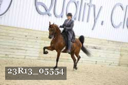23R13_05554 thumbnail