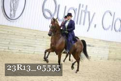 23R13_05555 thumbnail