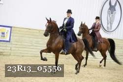 23R13_05556 thumbnail